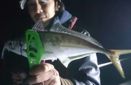 シースナイパー海龍 釣果