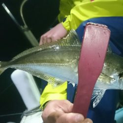 シースナイパー海龍 釣果