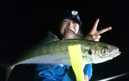 シースナイパー海龍 釣果