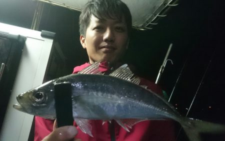 シースナイパー海龍 釣果