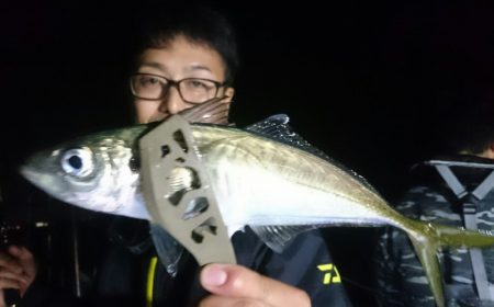 シースナイパー海龍 釣果