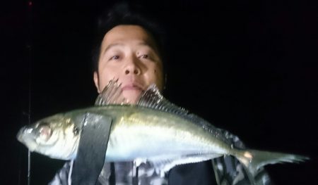 シースナイパー海龍 釣果
