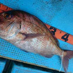 シースナイパー海龍 釣果