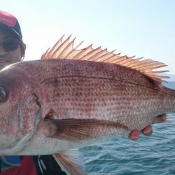 シースナイパー海龍 釣果
