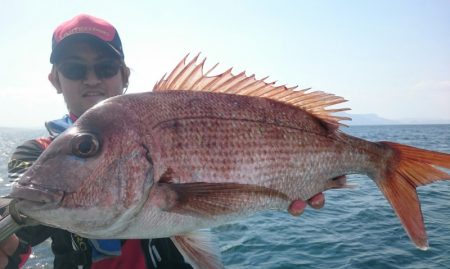 シースナイパー海龍 釣果