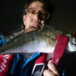 シースナイパー海龍 釣果