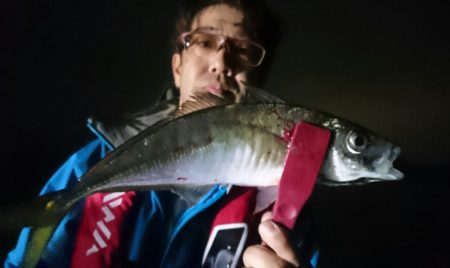 シースナイパー海龍 釣果