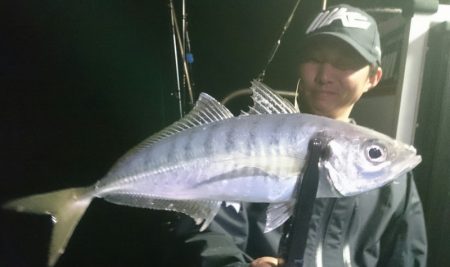 シースナイパー海龍 釣果