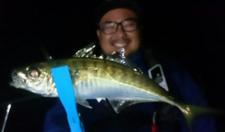 シースナイパー海龍 釣果