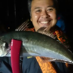 シースナイパー海龍 釣果