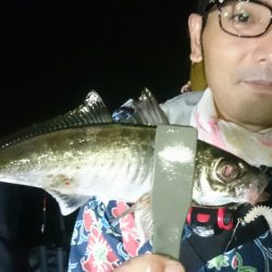 シースナイパー海龍 釣果