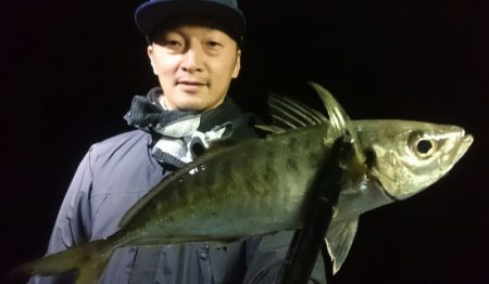 シースナイパー海龍 釣果