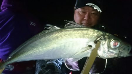 シースナイパー海龍 釣果