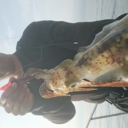 シースナイパー海龍 釣果