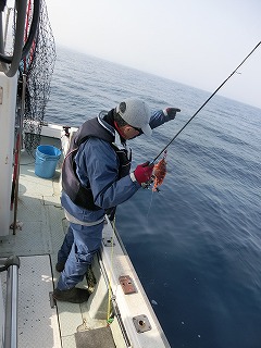 第二清洋丸 釣果