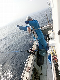 第二清洋丸 釣果