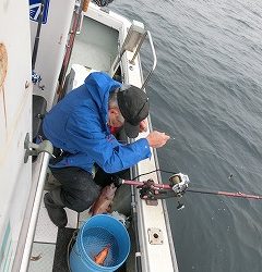 第二清洋丸 釣果