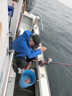 第二清洋丸 釣果