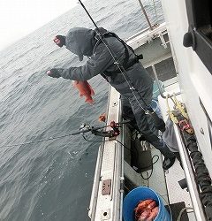 第二清洋丸 釣果