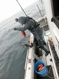 第二清洋丸 釣果