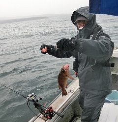 第二清洋丸 釣果