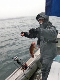 第二清洋丸 釣果