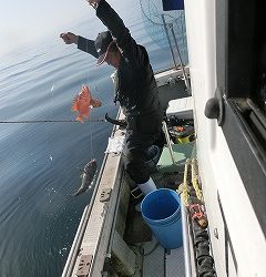 第二清洋丸 釣果