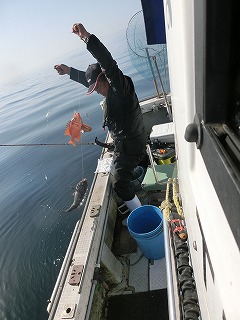 第二清洋丸 釣果