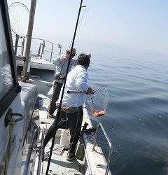 第二清洋丸 釣果