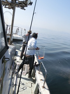 第二清洋丸 釣果