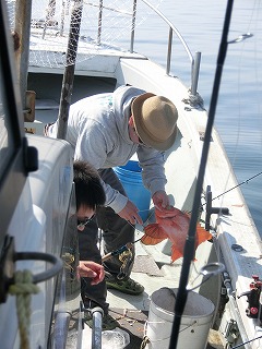 第二清洋丸 釣果