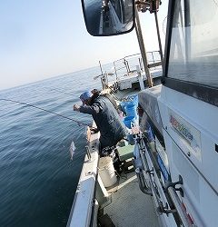 第二清洋丸 釣果