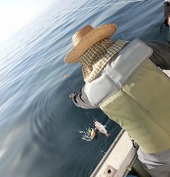 第二清洋丸 釣果