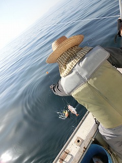 第二清洋丸 釣果