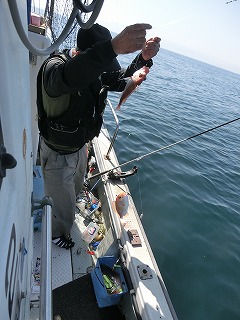 第二清洋丸 釣果