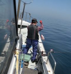 第二清洋丸 釣果