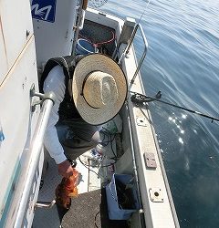 第二清洋丸 釣果