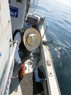 第二清洋丸 釣果