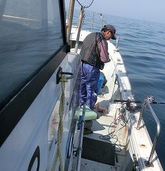 第二清洋丸 釣果