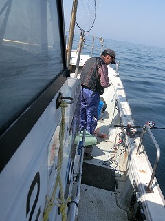 第二清洋丸 釣果