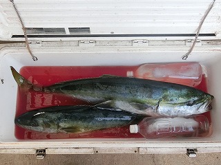 第二清洋丸 釣果