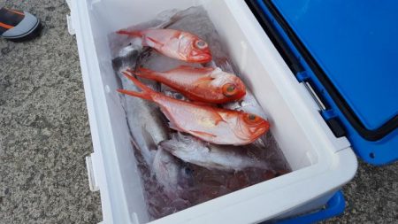 もと明丸 釣果