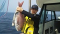 釣船　キティ 釣果