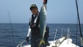 釣船　キティ 釣果
