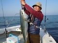 釣船　キティ 釣果