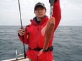 釣船　キティ 釣果