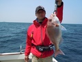 釣船　キティ 釣果