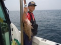 釣船　キティ 釣果