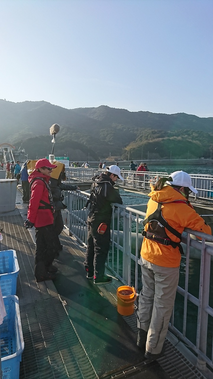 四季の釣りロケ〜サビキで釣ったマイワシで青物狙い in とっとパーク小島【角田裕介氏連載記事浮きアオリイカ釣り 第18弾】