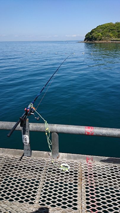 四季の釣りロケ〜サビキで釣ったマイワシで青物狙い in とっとパーク小島【角田裕介氏連載記事浮きアオリイカ釣り 第18弾】